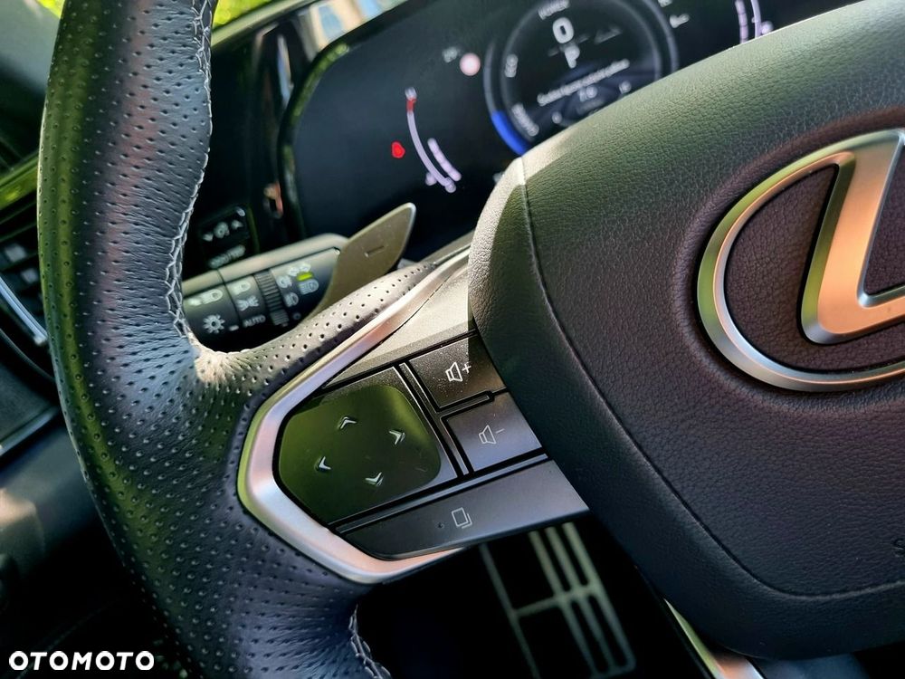 Lexus NX - 19