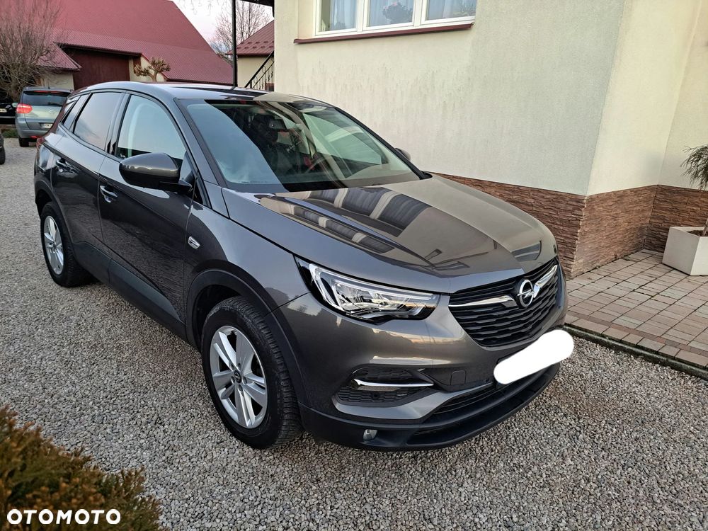 Opel Grandland X - 1