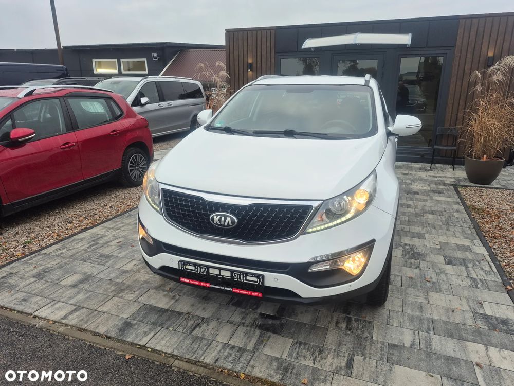 Kia Sportage - 1