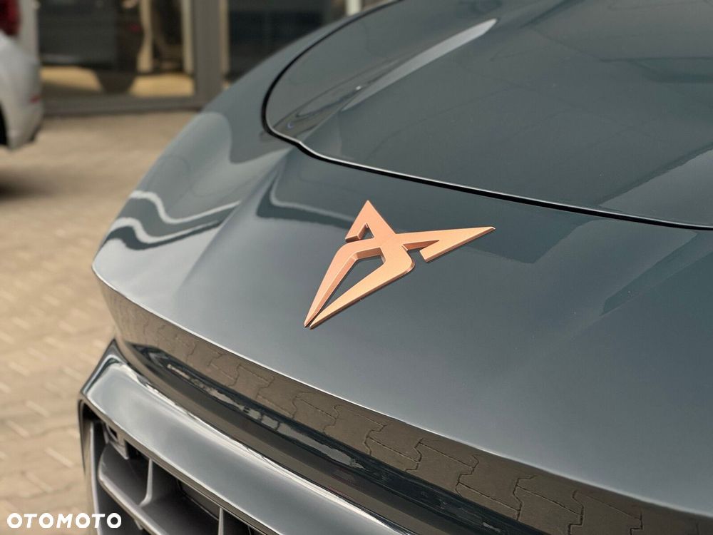 Cupra Terramar - 6