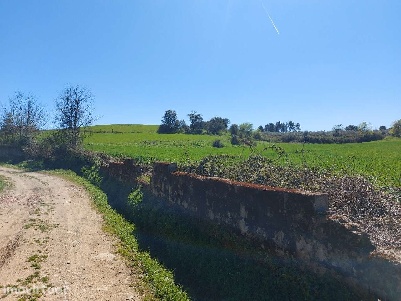 Venda Judicial Terreno Rústico Presa-Covinhas Castro Vicente - Grande imagem: 4/15