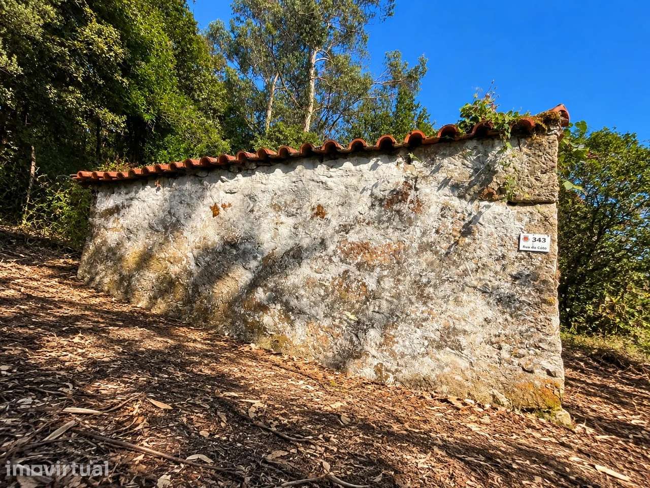 Propriedade com Duas Moradias em Ruína e Terreno boscoso em Gondoriz, - Grande imagem: 4/20