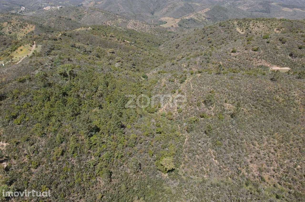 Terreno Rústico com 160.510m2 e Barragem em Vermelhos, Ameixial - Grande imagem: 3/21