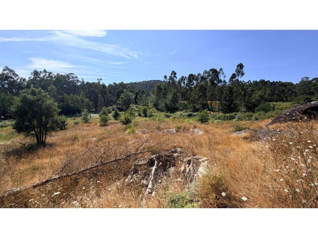 Terreno com projeto aprovado para construção de armazém em Cardielos - Grande imagem: 4/8