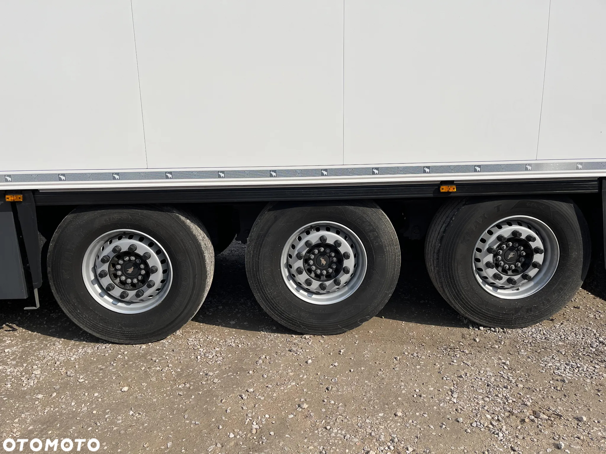 Schmitz Cargobull SKO 24/L,FP-60, 2024 rok, ThermoKing SLXi 300 - 13