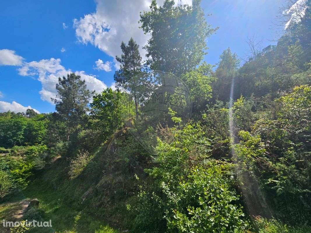 Terreno  para venda - Grande imagem: 5/12