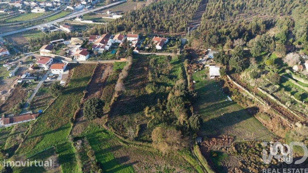 Terreno em Pinheiro da Bemposta, Travanca e Palmaz - Grande imagem: 3/14