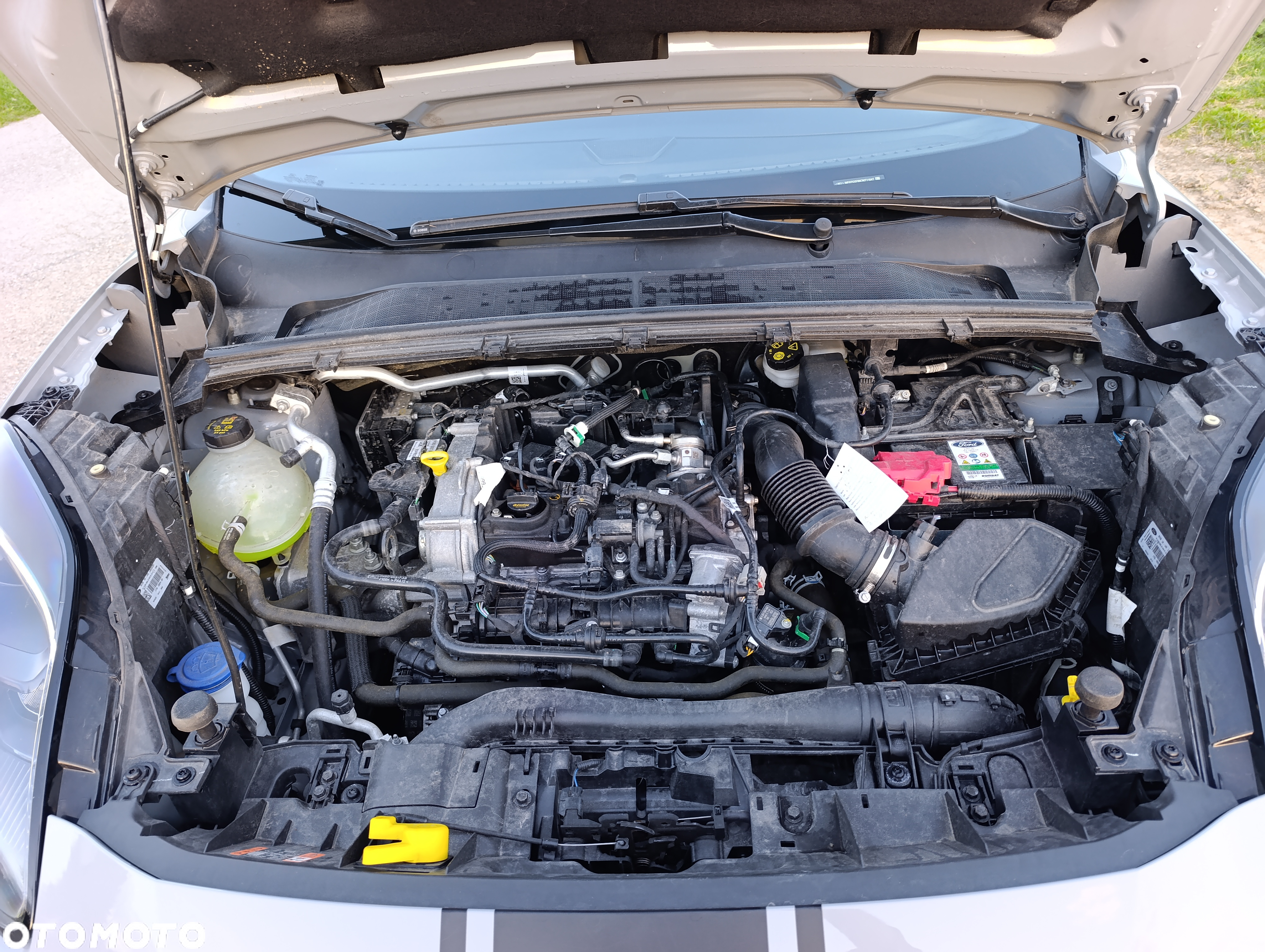 Ford Puma 1.0 EcoBoost mHEV ST-Line X PowerShift - 31