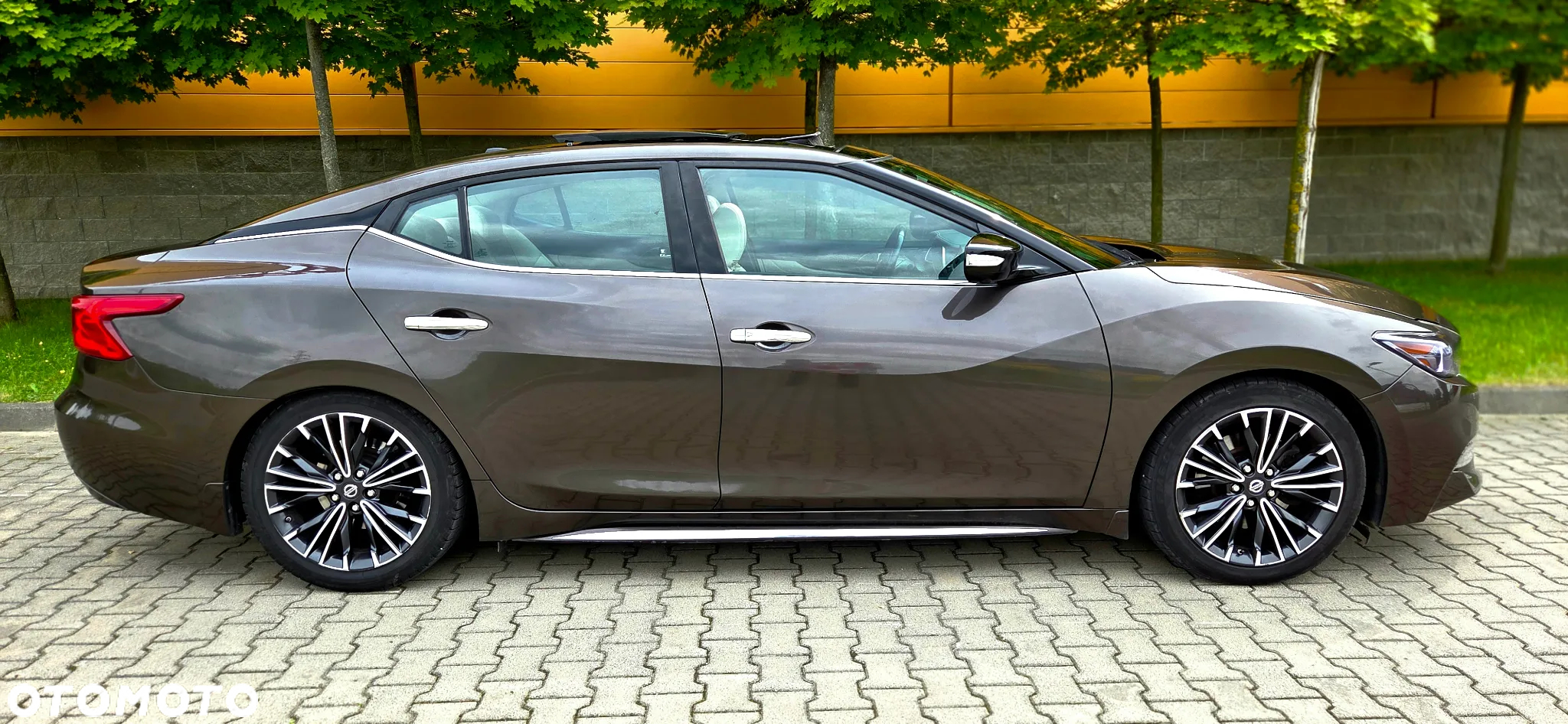 Nissan Maxima - 22