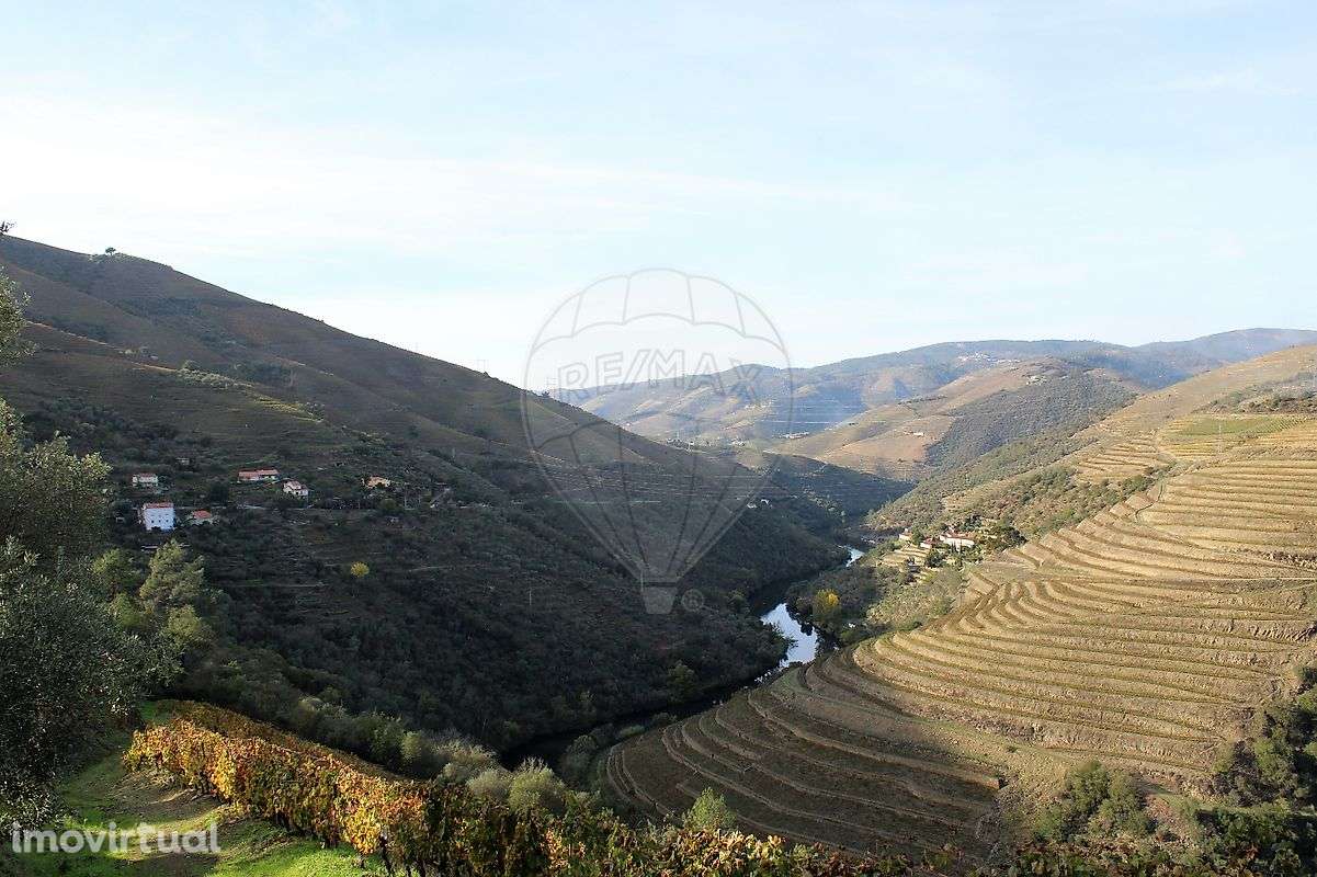 Terreno  para venda - Grande imagem: 3/7