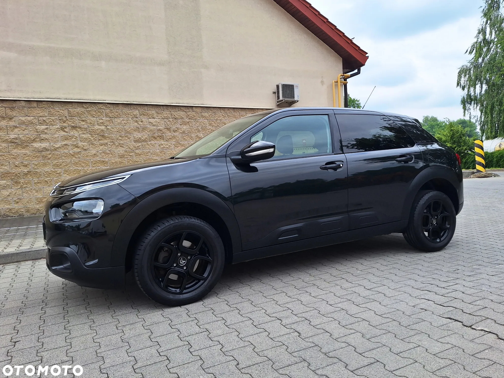 Citroën C4 Cactus 1.2 PureTech Shine S&S - 7
