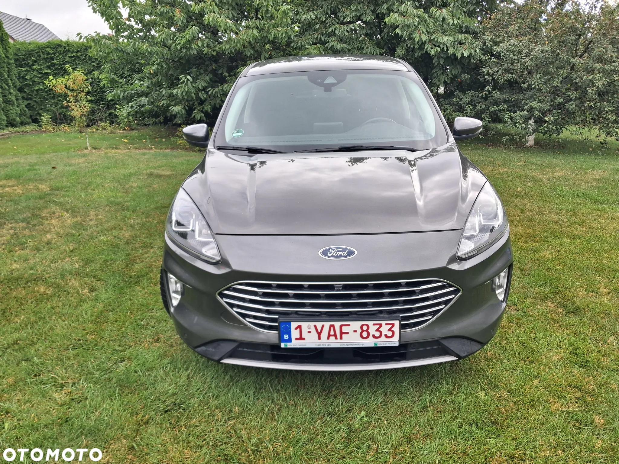 Ford Kuga 1.5 EcoBlue FWD Titanium - 2