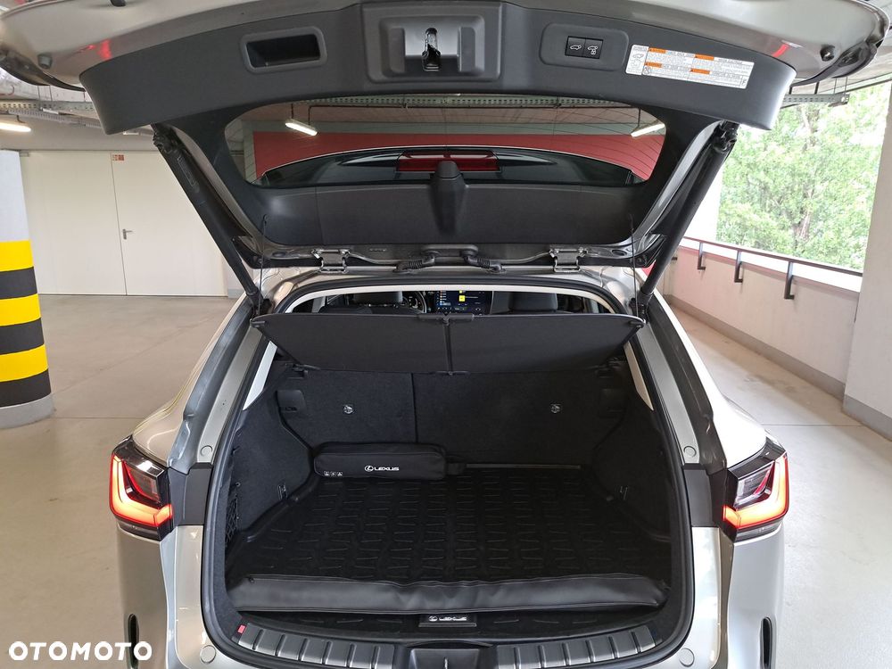 Lexus NX - 14