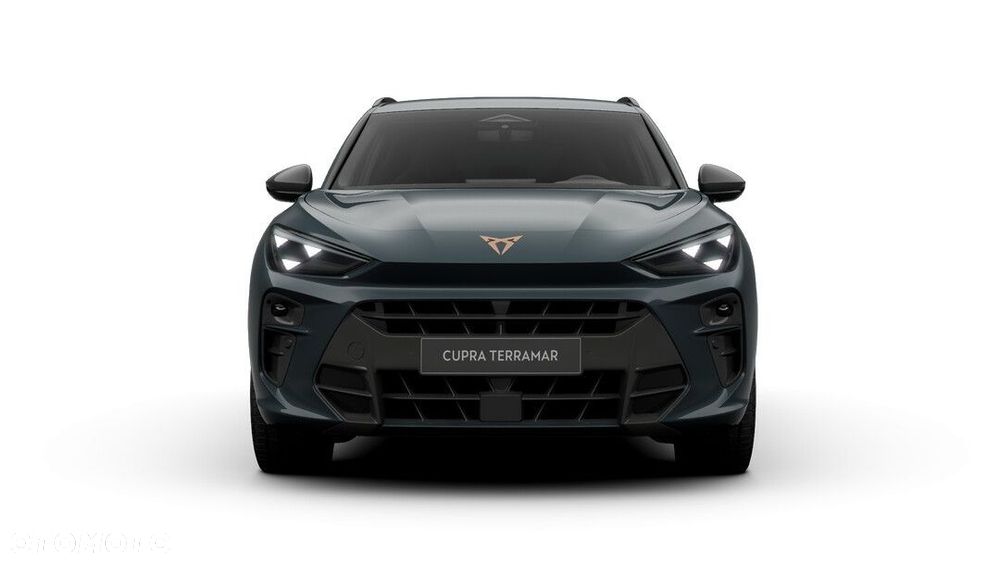 Cupra Terramar - 2