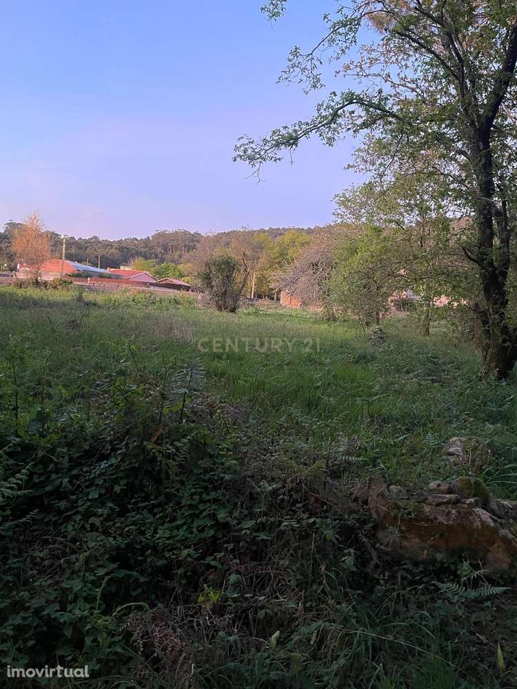 Terreno, 882 m², Afife - Grande imagem: 2/3