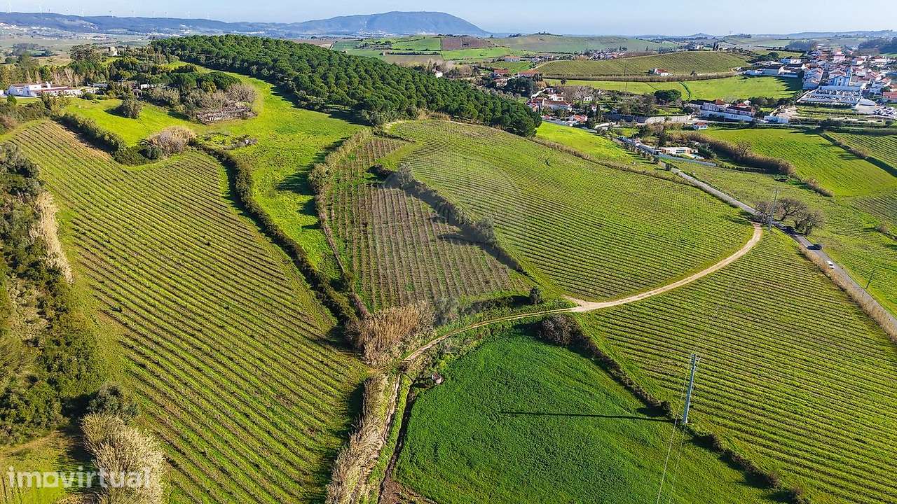 Terreno  para venda - Grande imagem: 5/12