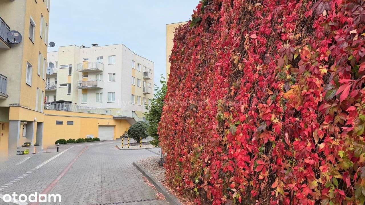 2-room apartment of 49 m²