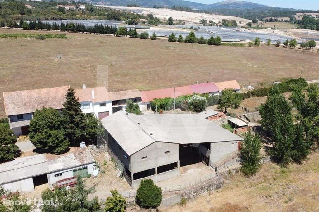 Herdade Agricola com  49ha e Moradia de Familia em Boidobra Covilha - Grande imagem: 2/60