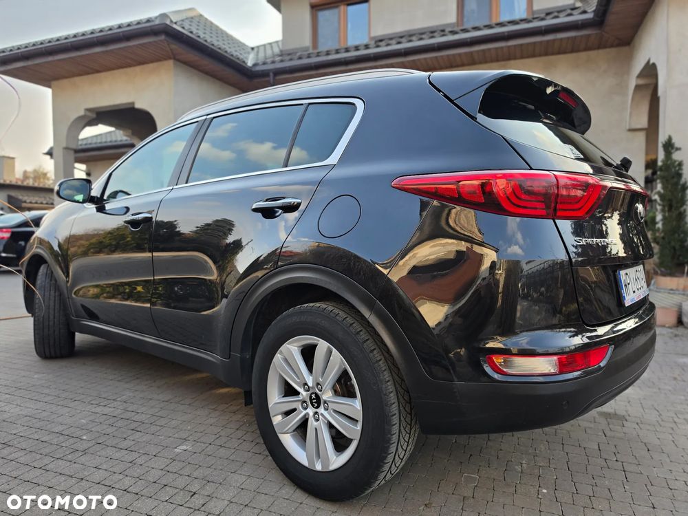 Kia Sportage - 1