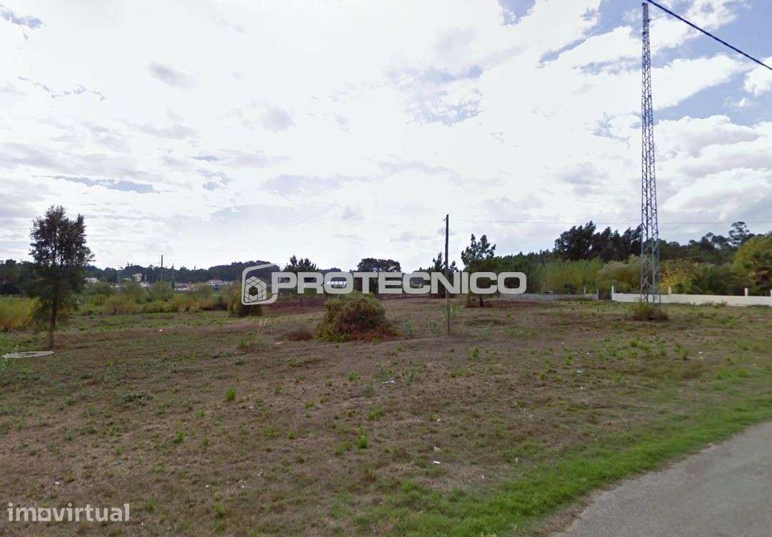 Terreno Caneira - Venda - Grande imagem: 4/6
