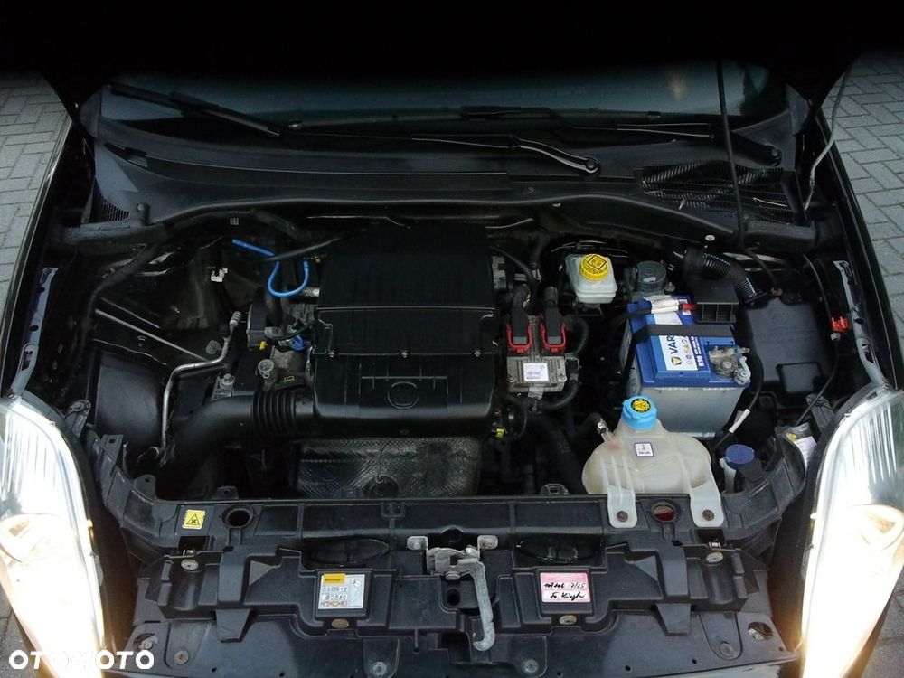 Fiat Punto - 31