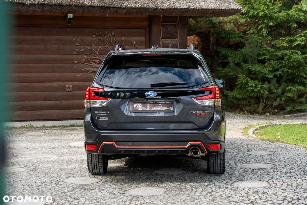 Subaru Forester - 19