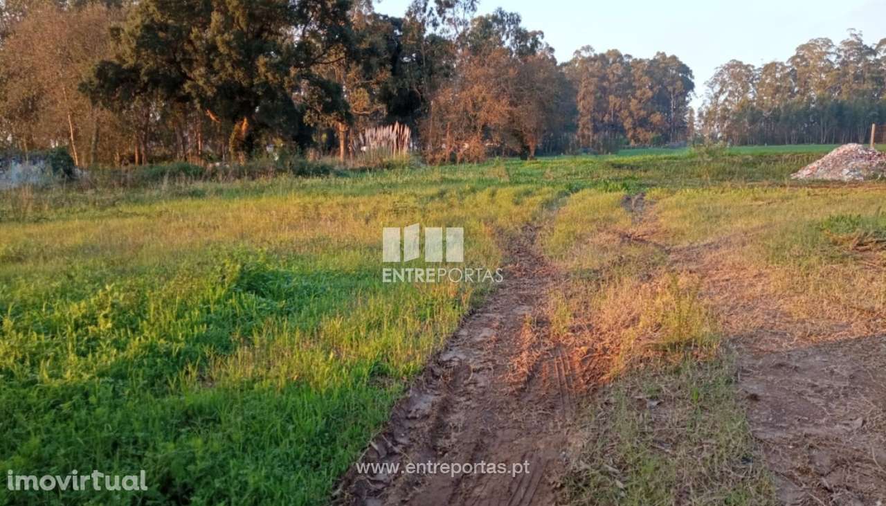 Venda de Lote com 350 m2, Mosteiró, Vila do Conde - Grande imagem: 4/11