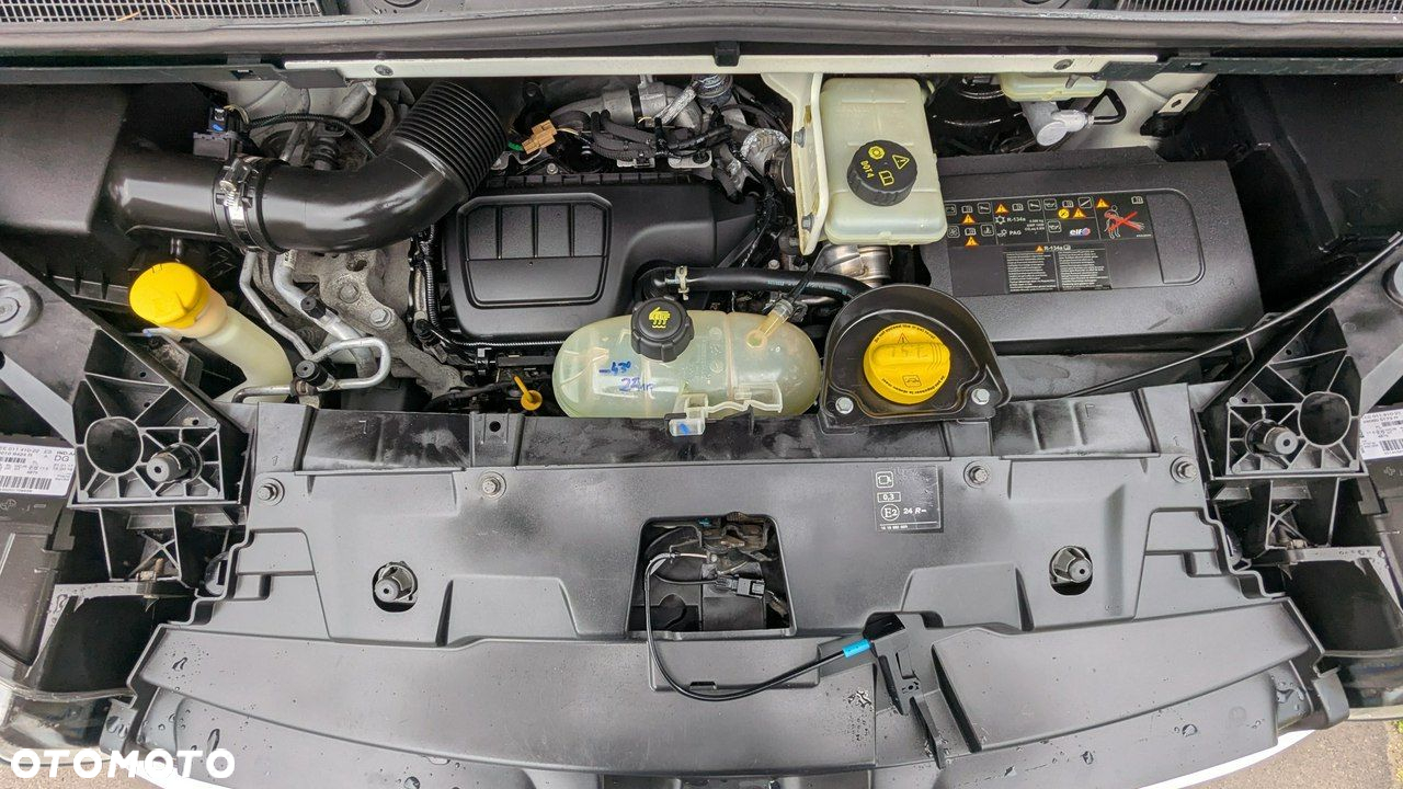 Renault Trafic - 34