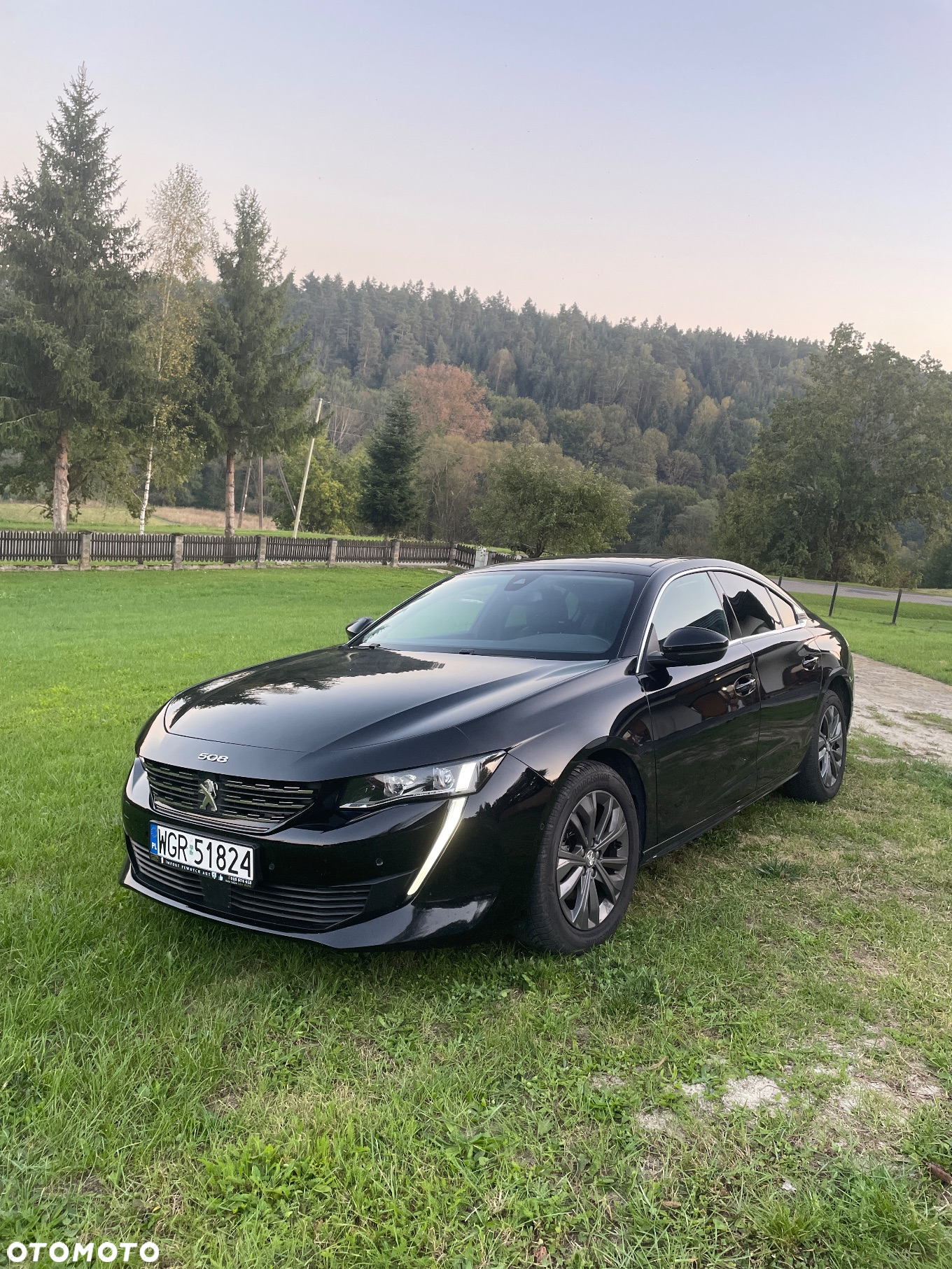 Peugeot 508 1.6 PureTech Allure S&S EAT8 - 24