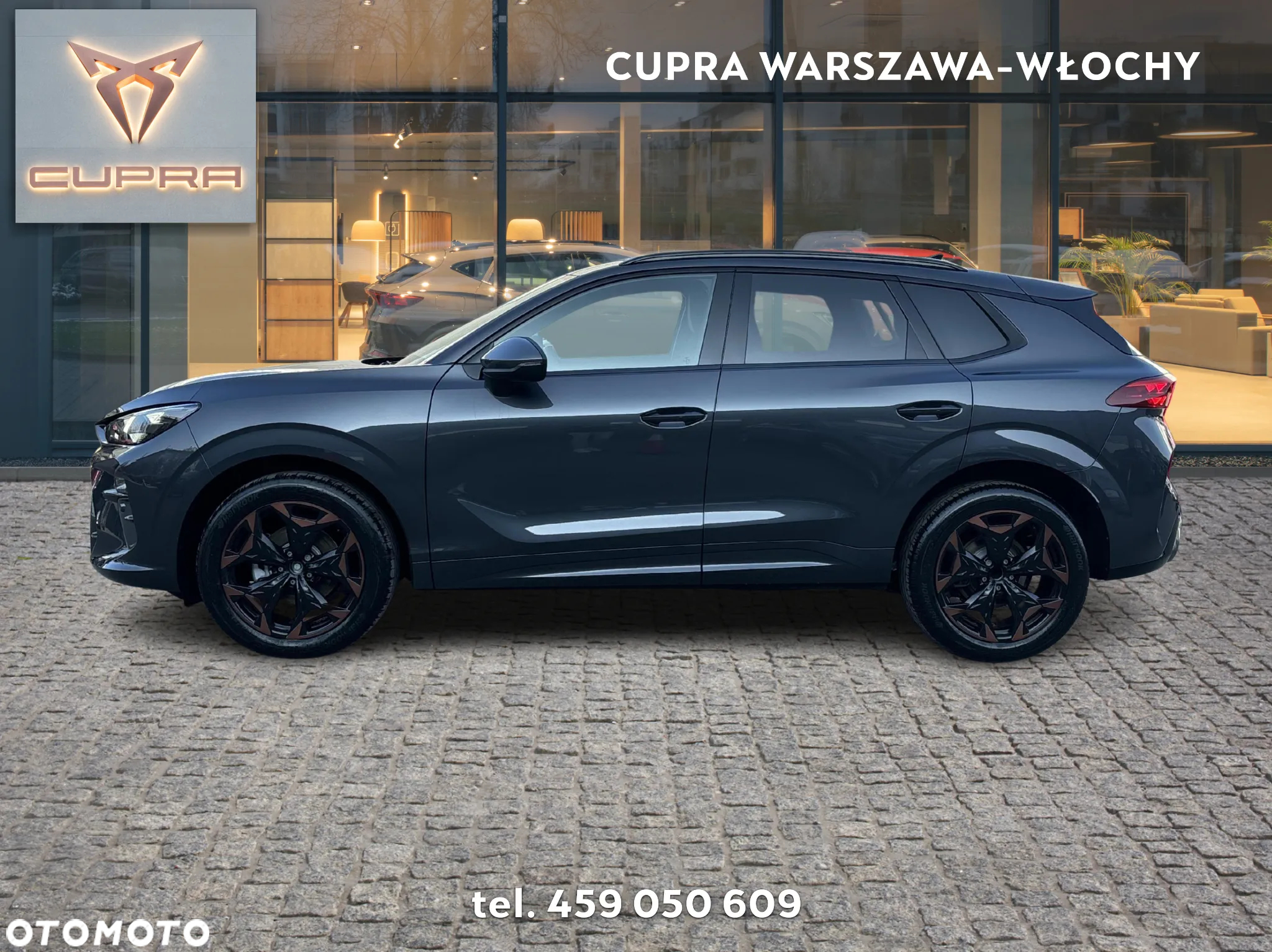 Cupra Terramar - 2