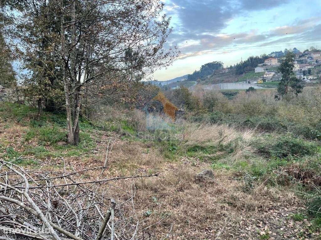 Terreno na cidade de Fafe com 42 585 m2. - Grande imagem: 4/6