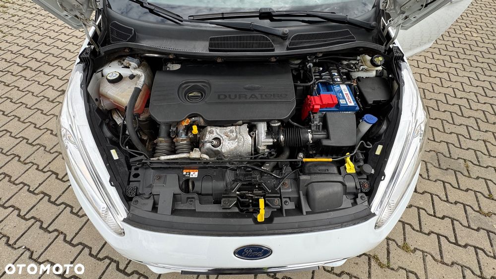 Ford Fiesta - 19