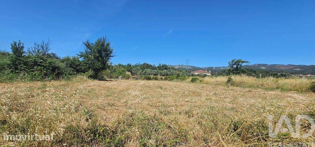 Terreno Agrícola em Cumeeira - Grande imagem: 3/14