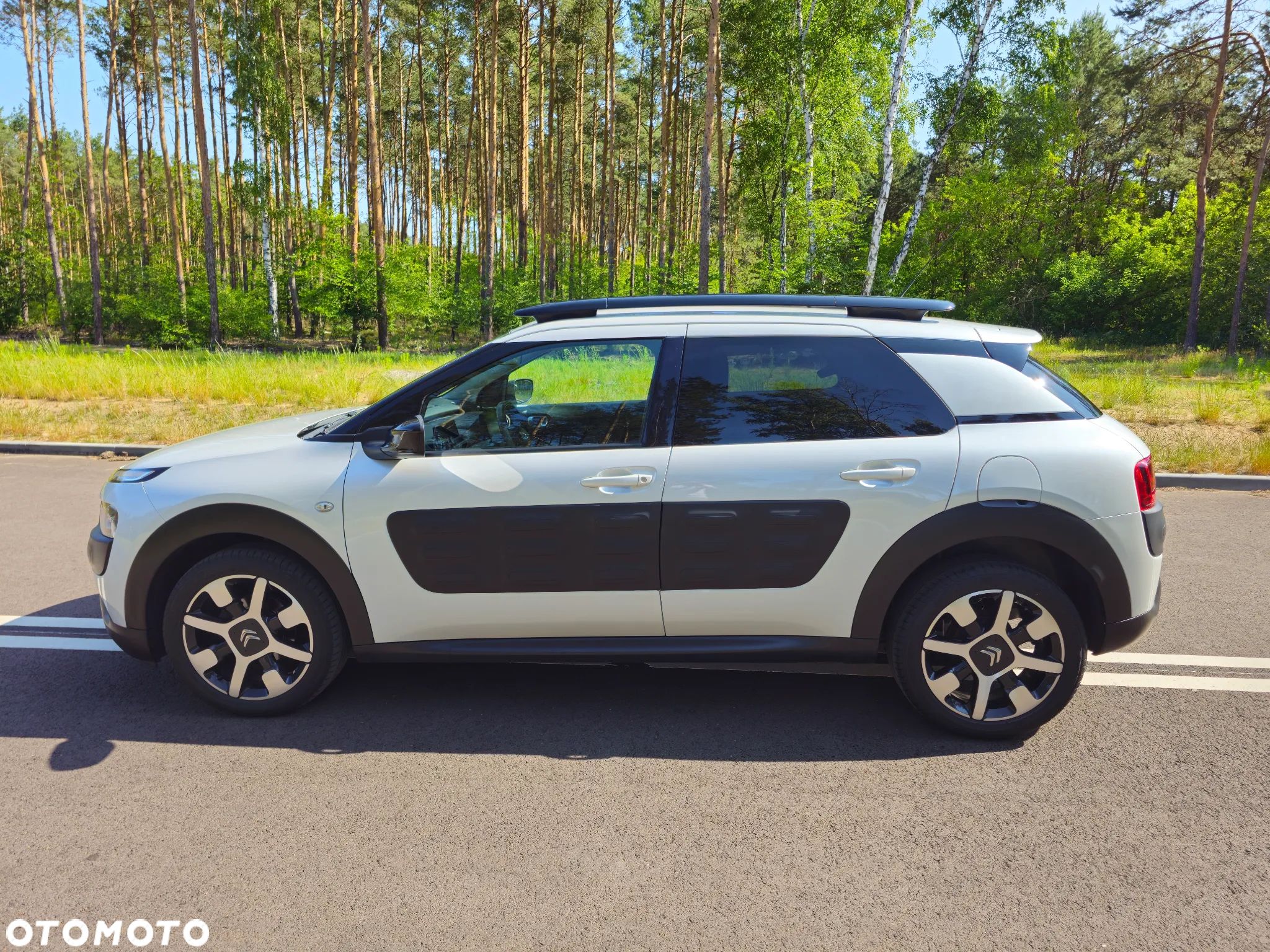 Citroën C4 Cactus 1.6 BlueHDi Shine - 3