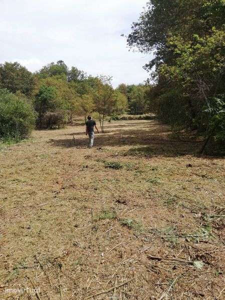 Imperdível: Terreno c/1,7ha contato com a natureza. ate final Agosto - Grande imagem: 5/11