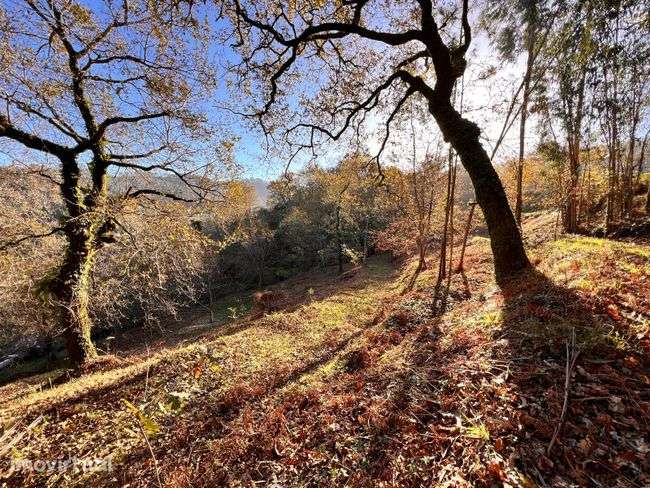 Terreno, 4 980 m², Ponte da Barca, Vila Nova de Muía e Paço Vedro de Magalhães - Grande imagem: 2/7