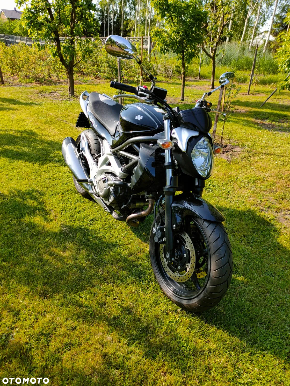 Suzuki Gladius - 5