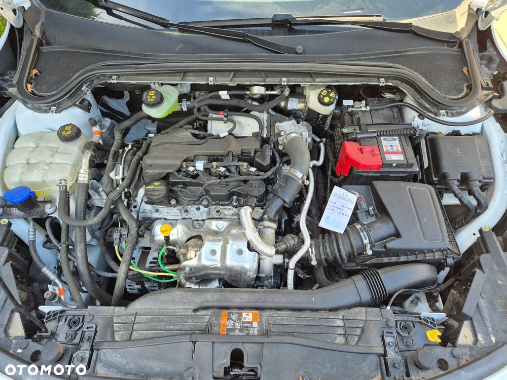 Ford Focus 1.5 EcoBlue STart-Stopp-System TITANIUM - 17