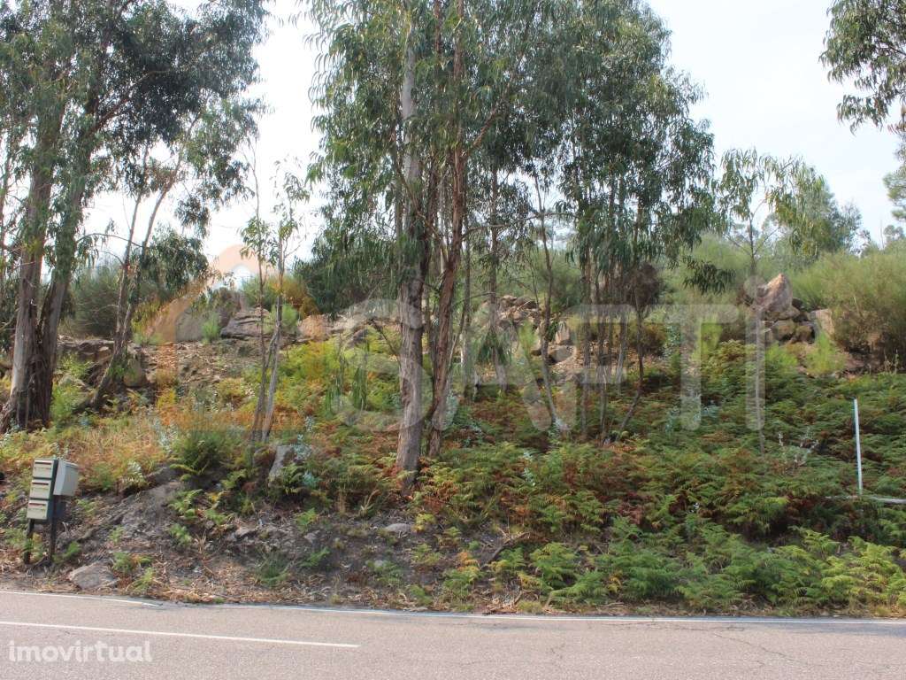 Terreno construtivo com cerca de 6400m2 - Grande imagem: 2/8