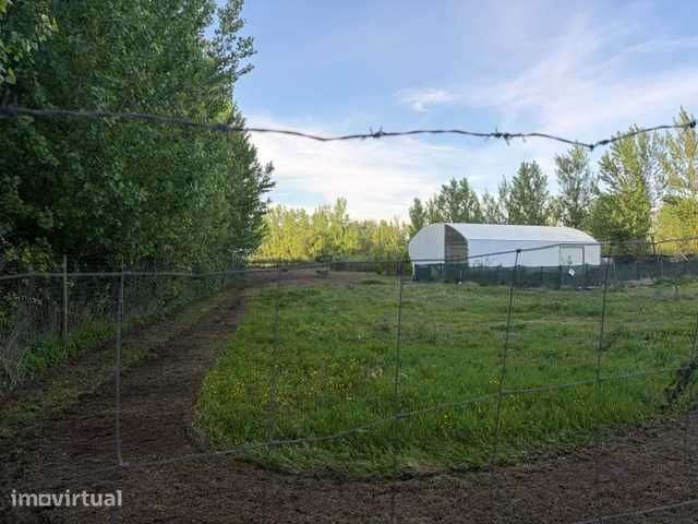 Aluga-se Terreno Rustico com 7000,00 m2 - Grande imagem: 3/7