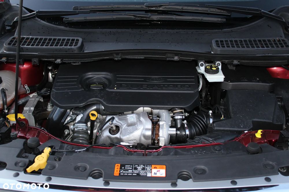 Ford Kuga 1.5 TDCi 2x4 Business Edition - 29