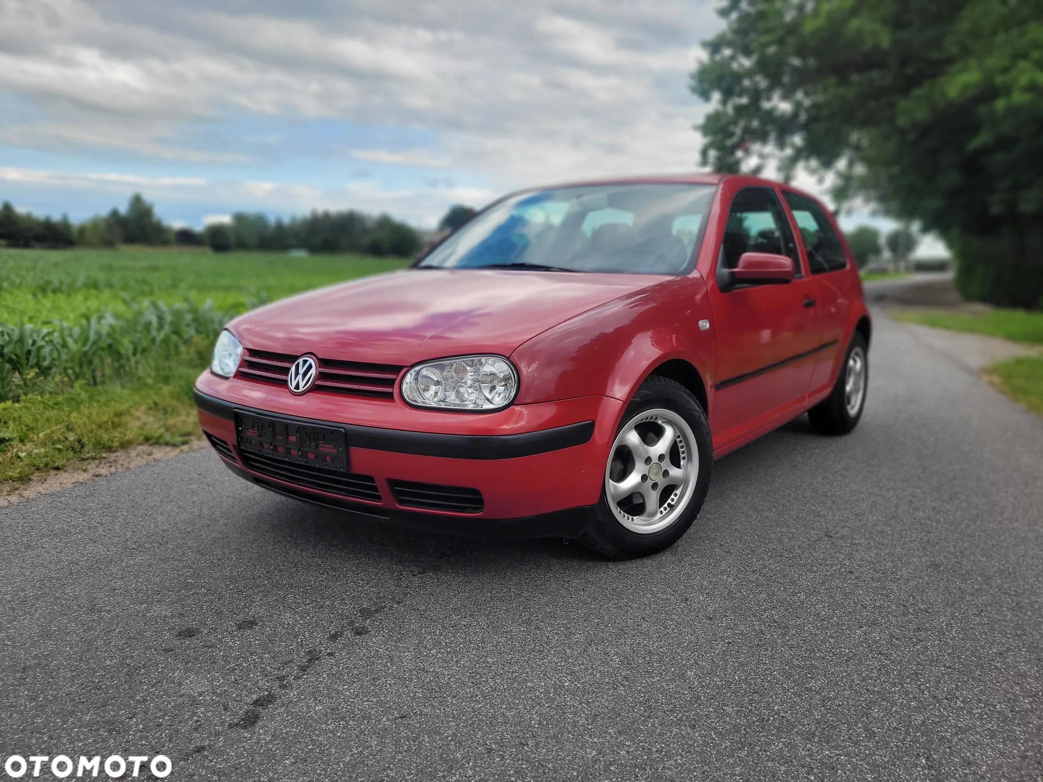 Volkswagen Golf IV 1.4 Trendline - 4
