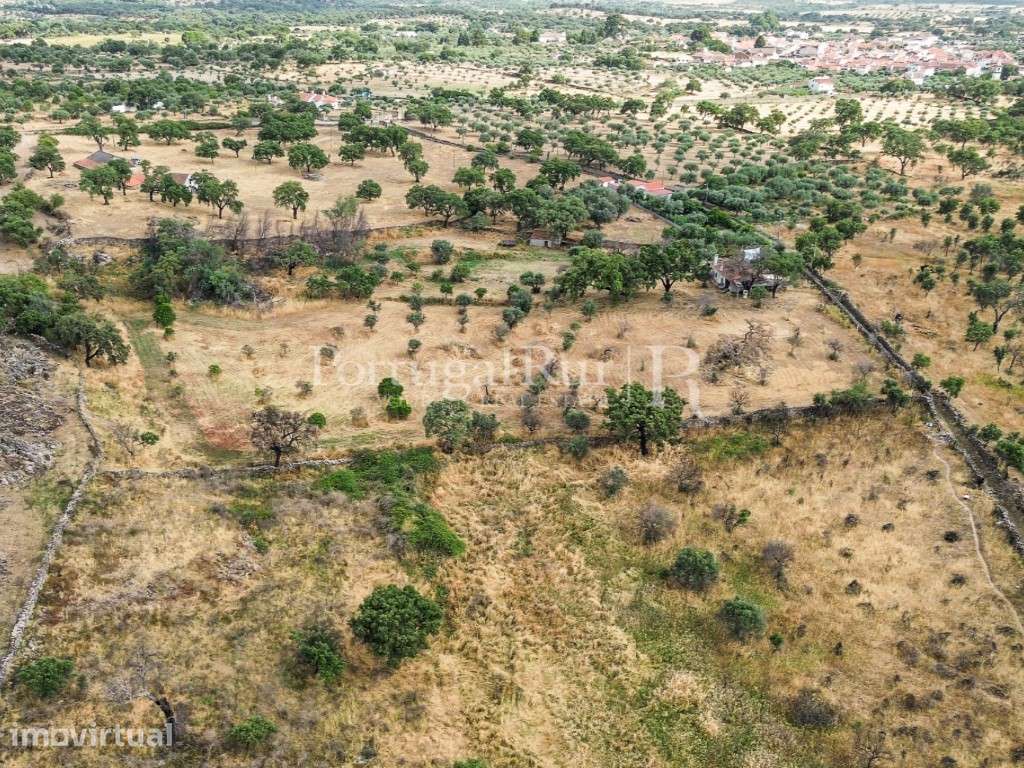 Quintinha de 1.8 hectares em Medelim - Grande imagem: 3/31