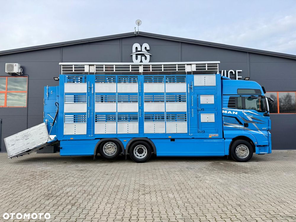 MAN TGX 26.540 // E6 // Zabudowa PEZZAIOLI // 3 poziomy hydraulika, podnoszony dach, rampa hydrauliczna // do żywca, do bydła, do transportu zwierząt - 16