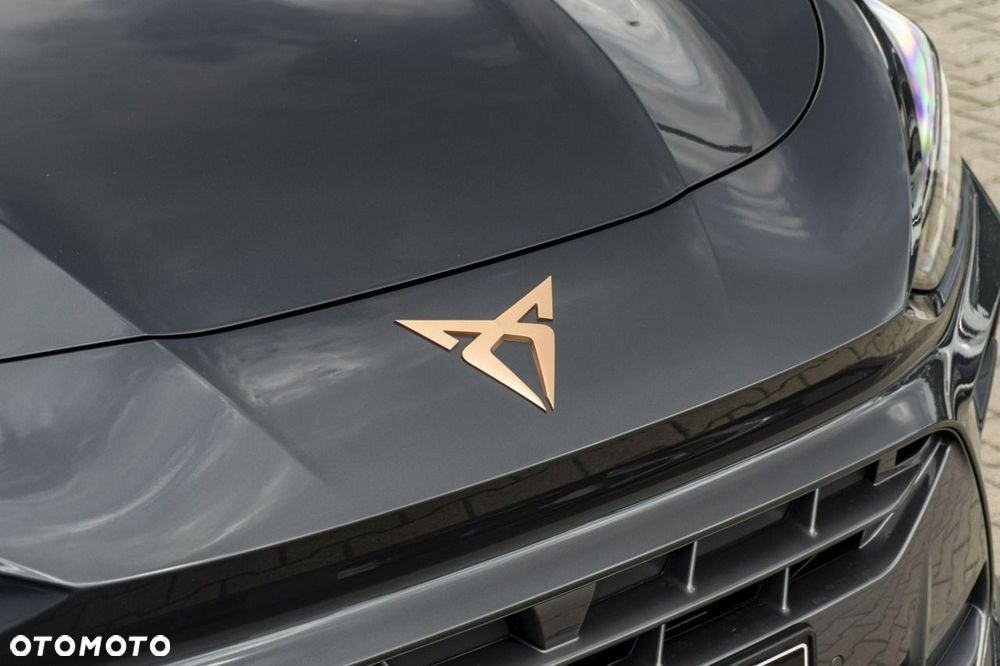 Cupra Terramar - 7