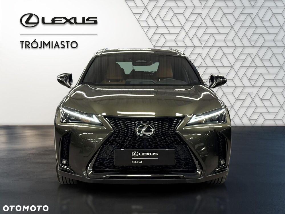 Lexus UX 300h F Sport Design AWD - 9