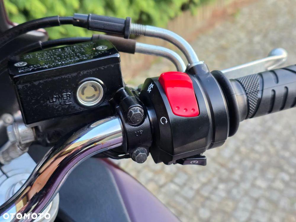 Suzuki Bandit - 6