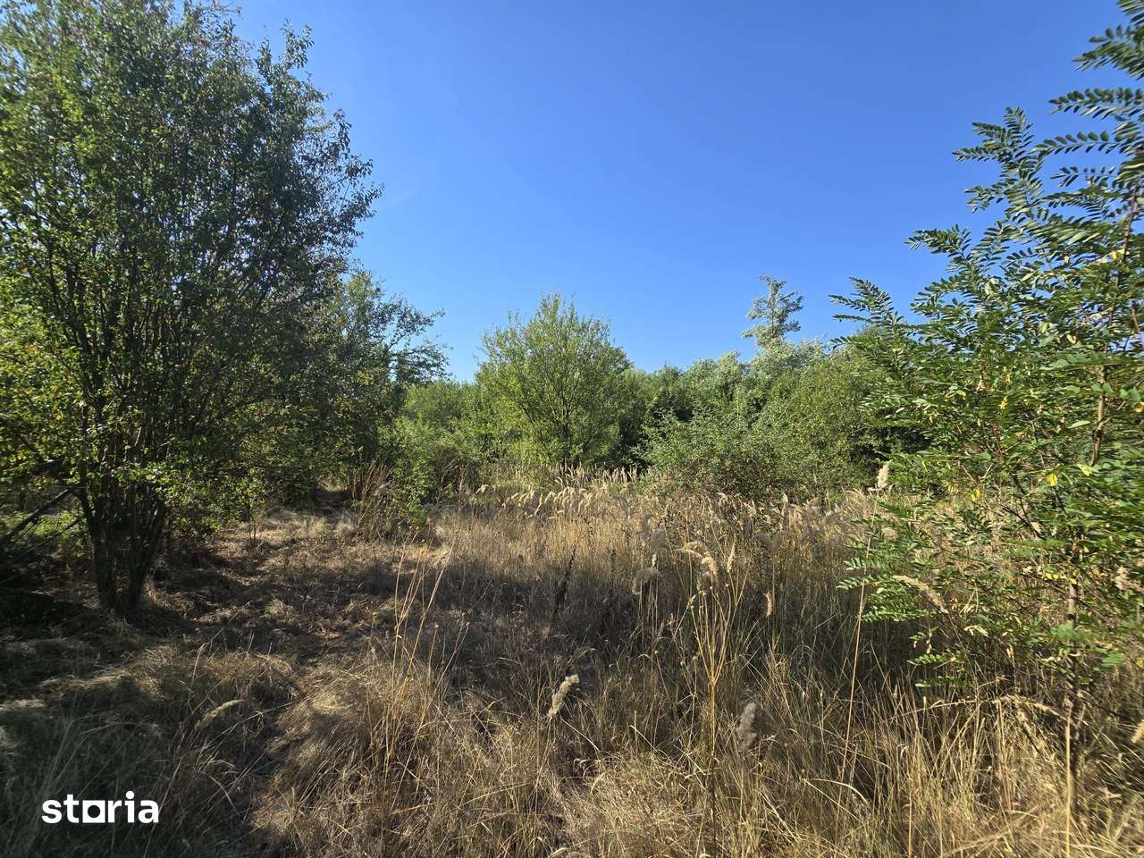 Terenuri intravilane de vânzare| Ciolpani |Acces rapid DN1| Promotie - Imagine principală: 2/7