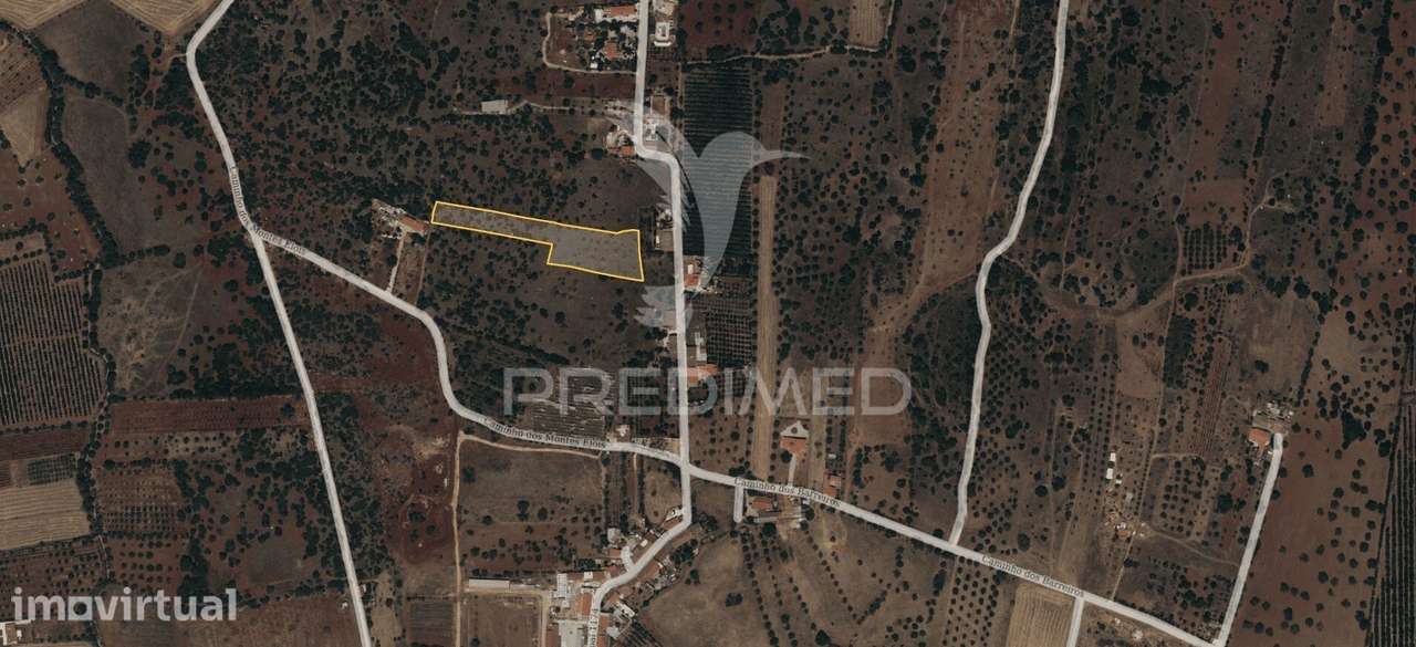 Albufeira-Paderne - Terreno Rústico 6840m2 - Grande imagem: 2/11