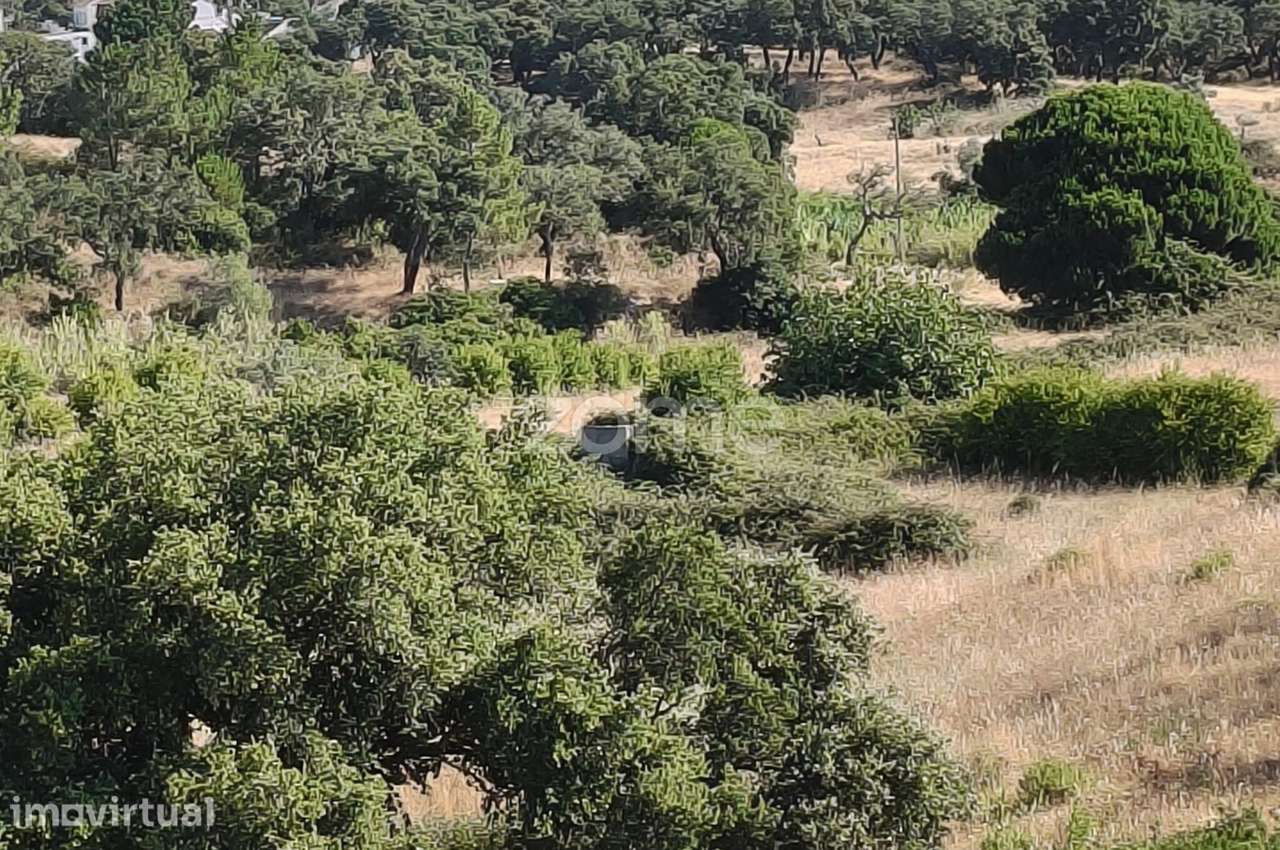 Terreno com 36.760 m² em São Sebastião, Setúbal - Grande imagem: 3/7